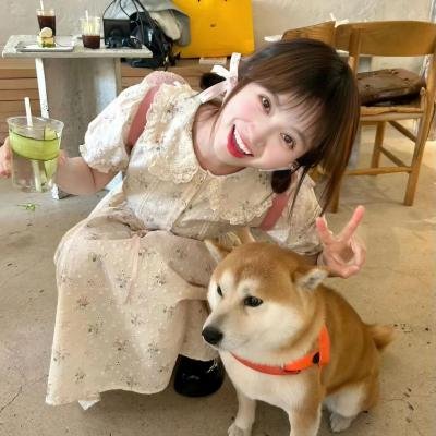 安卡